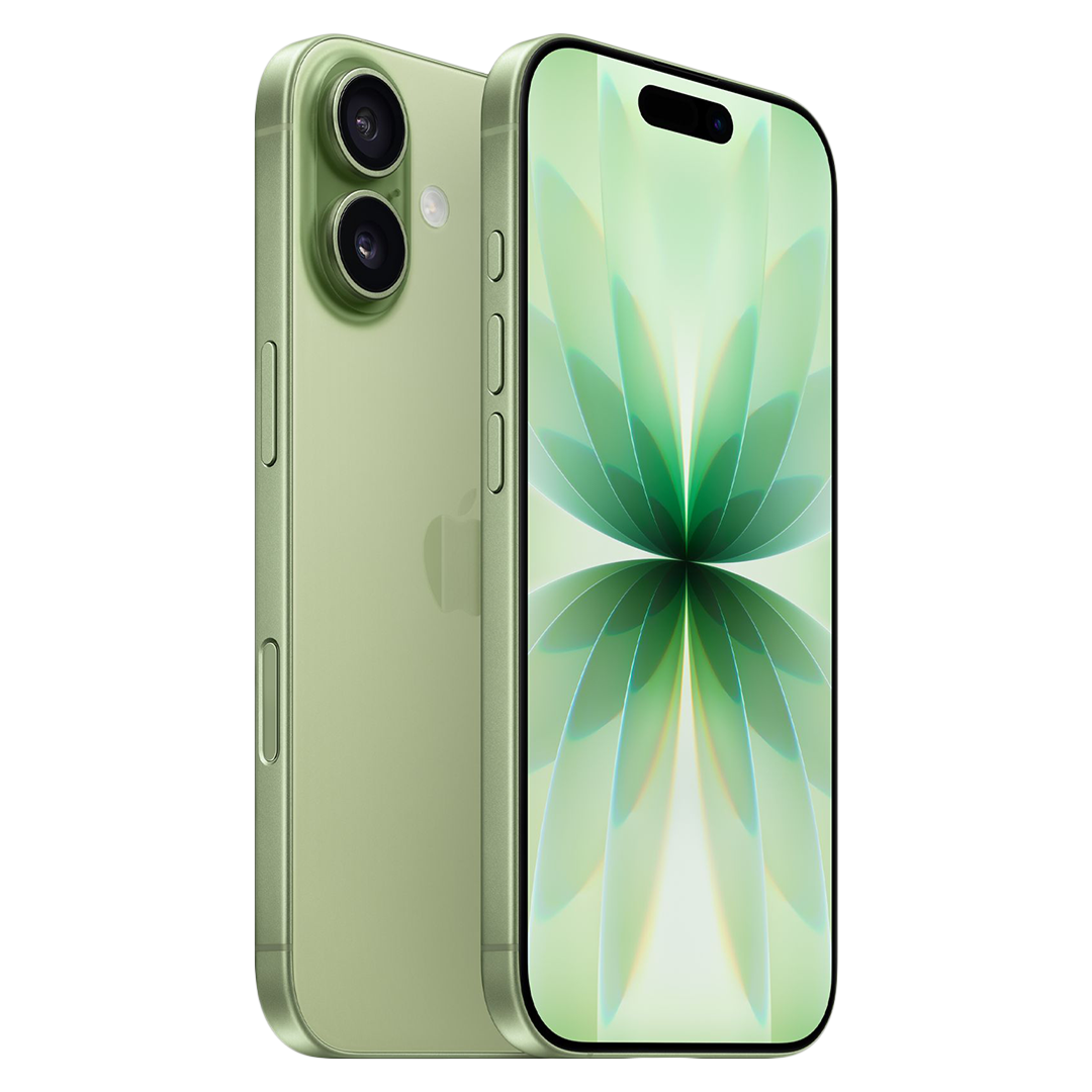iPhone 17 SIM+eSIM 256GB Sage — купить в Нижнем Новгороде