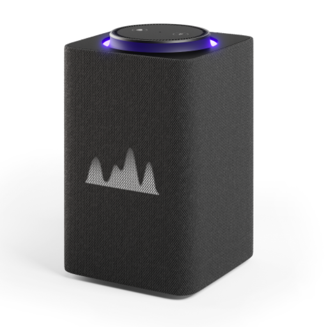 Яндекс Макс Zigbee Black — купить в Нижнем Новгороде