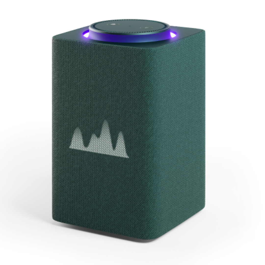 Яндекс Макс Zigbee Green — купить в Нижнем Новгороде